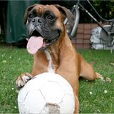 Euer Foto der Woche! - Bild 50