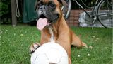 Euer Foto der Woche! - Bild 50