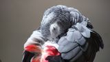 Euer Foto der Woche! - Bild 57