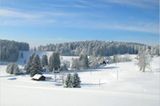 Euer Foto der Woche! - Bild 69