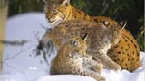 Euer Foto der Woche! - Bild 72