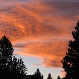 Euer Foto der Woche! - Bild 81