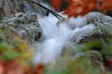 Euer Foto der Woche! - Bild 82