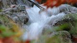 Euer Foto der Woche! - Bild 82