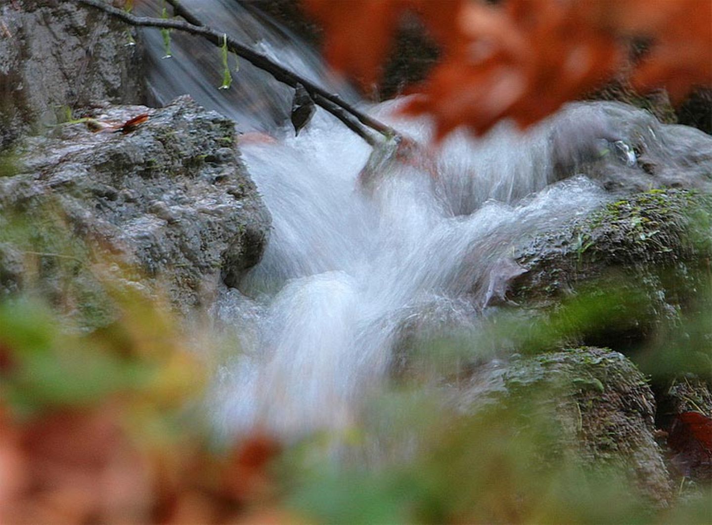 Euer Foto der Woche! - Bild 82