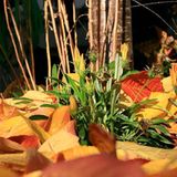 Euer Foto der Woche! - Bild 86