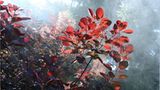 Euer Foto der Woche! - Bild 88