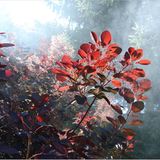 Euer Foto der Woche! - Bild 88