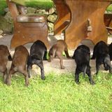 Euer Foto der Woche! - Bild 94