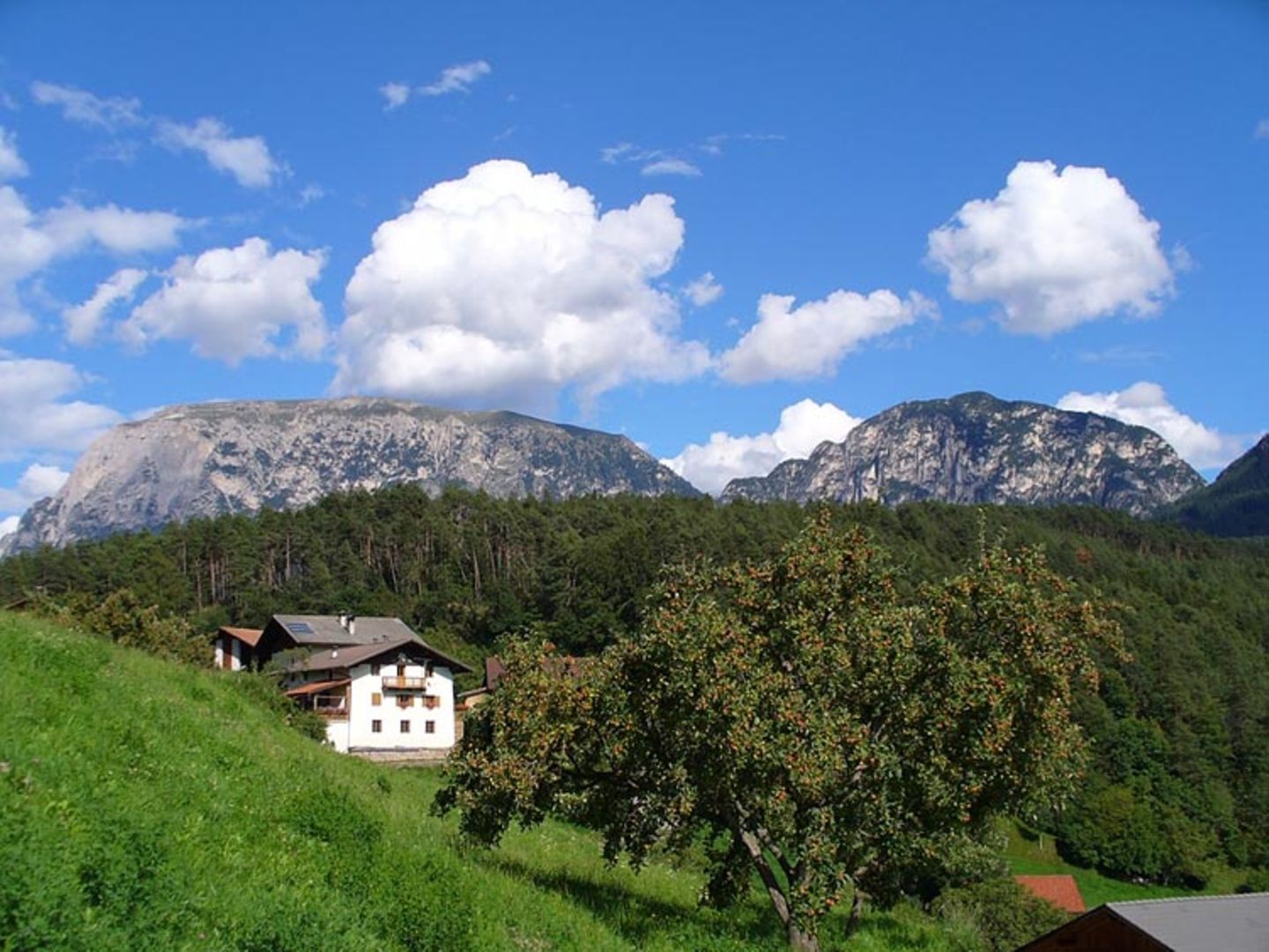 Euer Foto der Woche! - Bild 99
