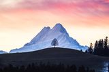 Emmental