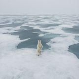 David Sinclair/Frank Hurley Photography Awards