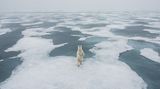 David Sinclair/Frank Hurley Photography Awards