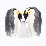 Josh Holko/Frank Hurley Photography Awards