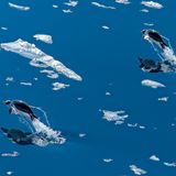 Andrew Dickman/Frank Hurley Photography Awards