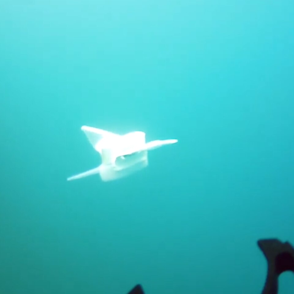 Marianengraben: Vorbild Fisch: Neuer Roboter kann tiefste Stelle des Ozeans erforschen