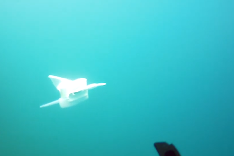 Marianengraben: Vorbild Fisch: Neuer Roboter kann tiefste Stelle des Ozeans erforschen