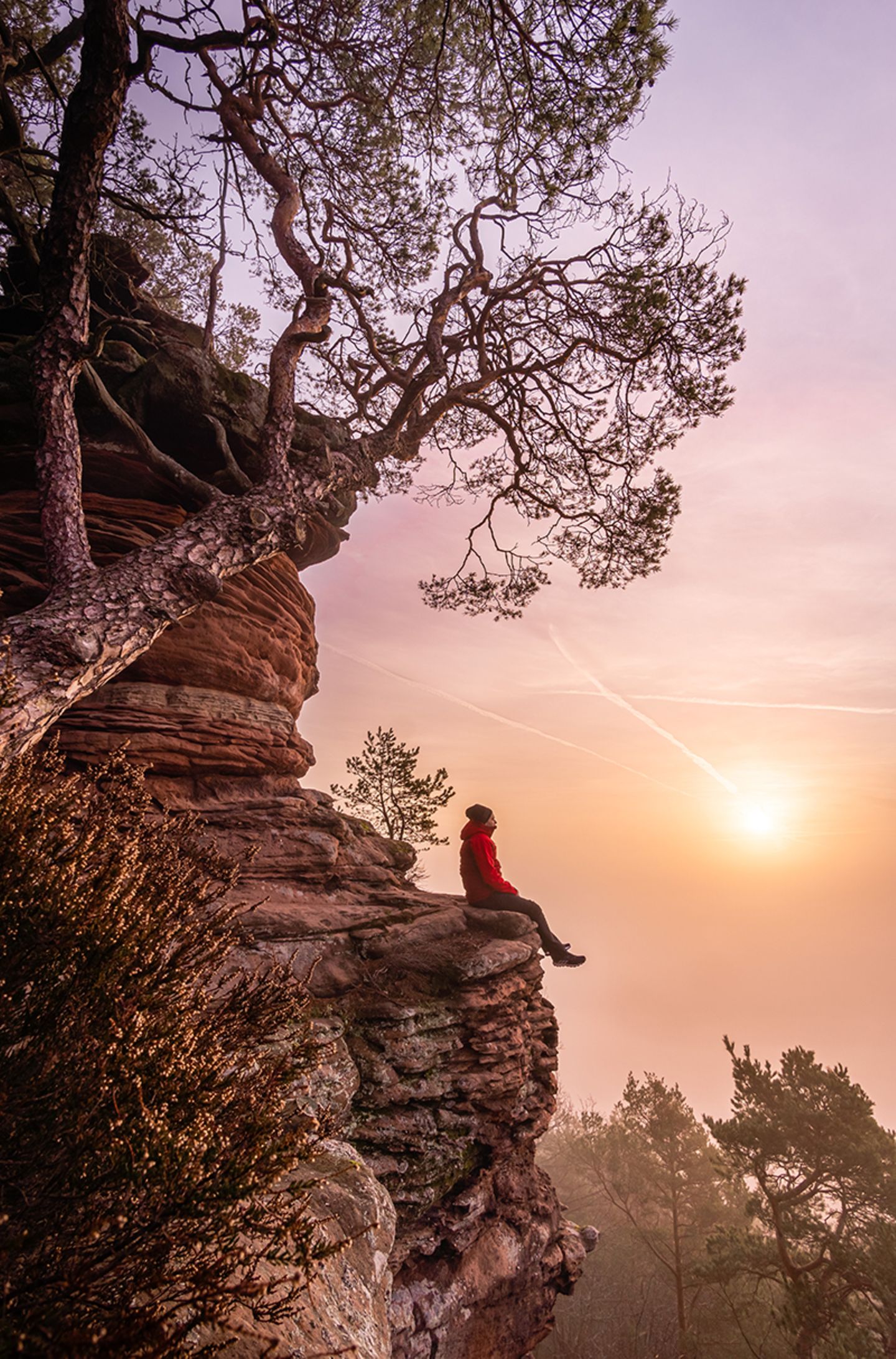 GEO LESERFOTO: Die besten Leserfotos: März 2021 - Bild 6 Pfälzer-Wald