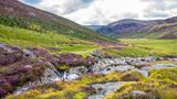Cairngorms National Park