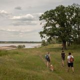 Vier Freunde auf Spuren­suche