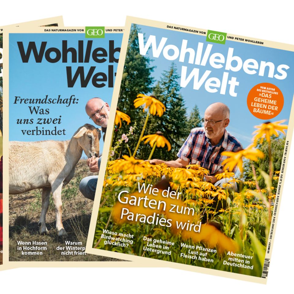 Wohlleben
