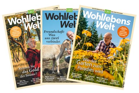Wohlleben
