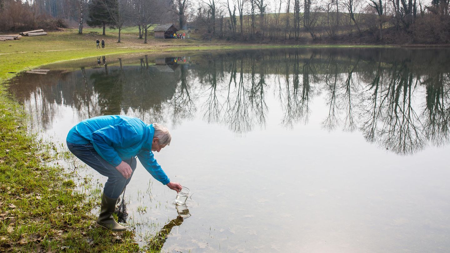Hartmut Heise steht im Eichener See und fischt Urzeitkrebse vom Grund. Der Eichener See entsteht, wenn aufgrund von starken Regenfällen oder Schneeschmelze der Grundwasserspiegel so weit ansteigt, dass Wasser an die Oberfläche tritt