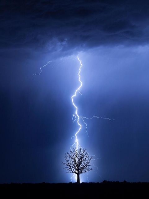 Ein Blitz schlägt in einen Baum ein