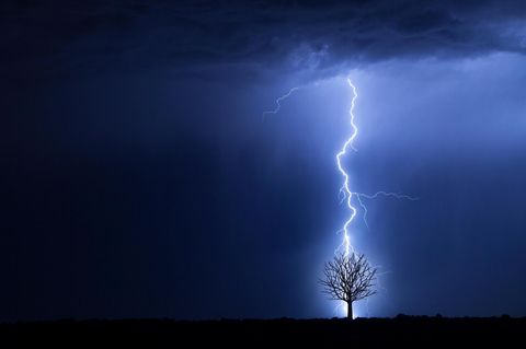 Ein Blitz schlägt in einen Baum ein