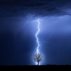 Ein Blitz schlägt in einen Baum ein