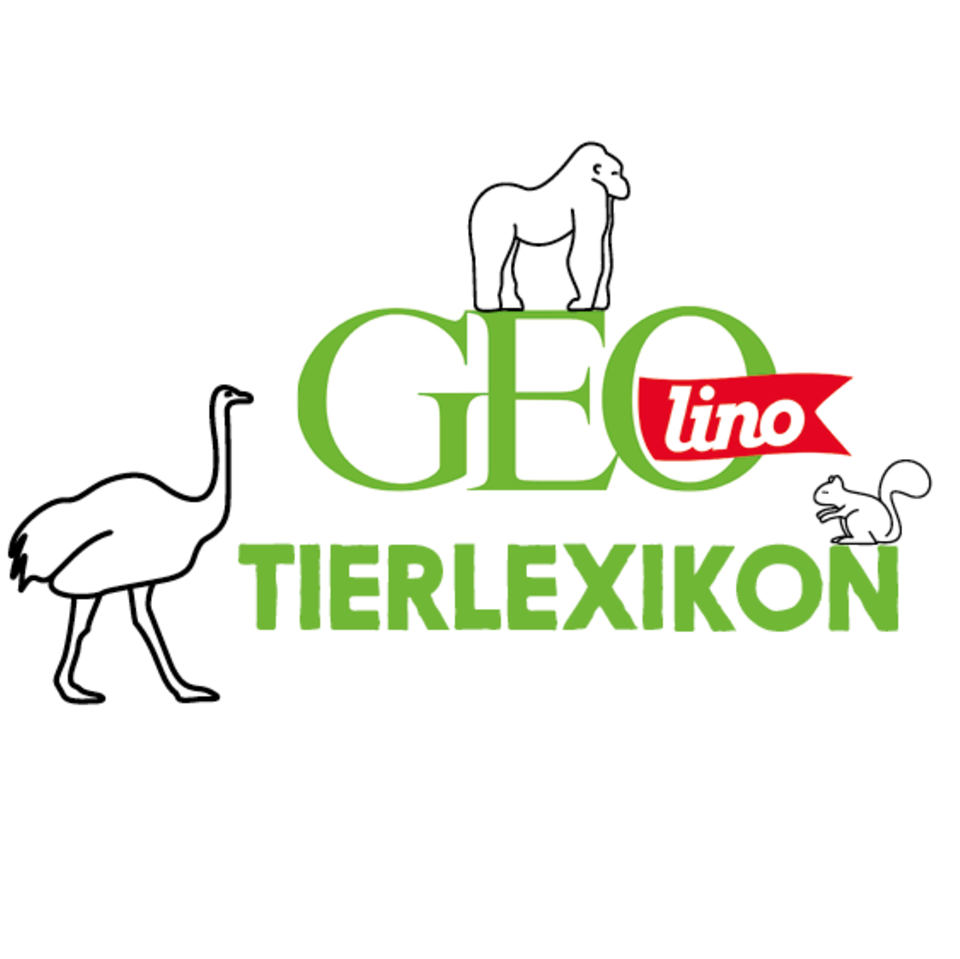 Tiere: Tierlexikon