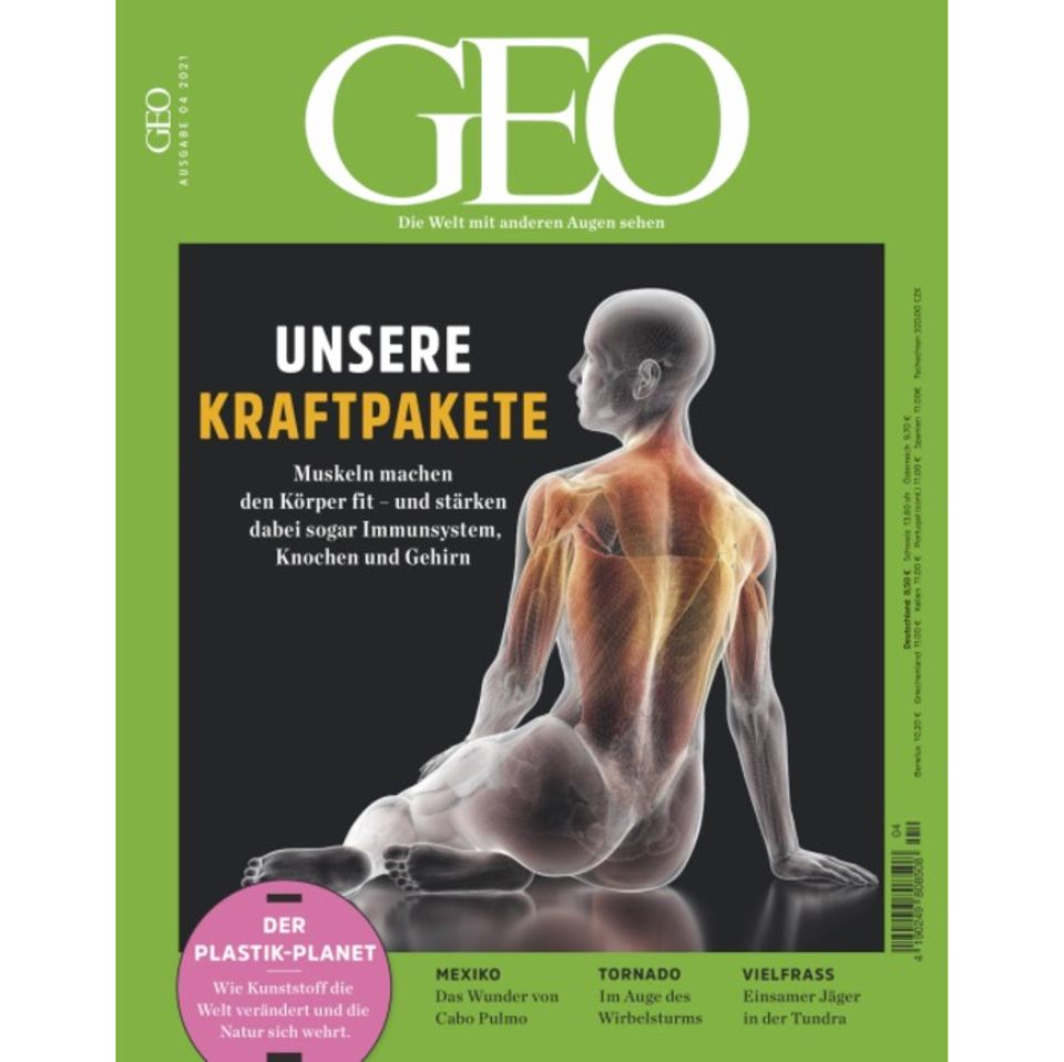 Lernen von der Natur: Wie magnetische Bakterien im Kampf gegen Krebs helfen könnten