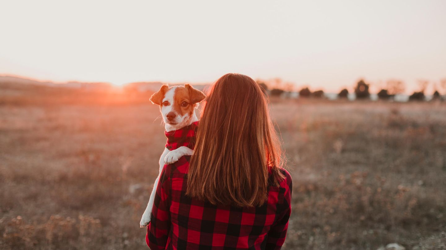 Frauchen und Hund