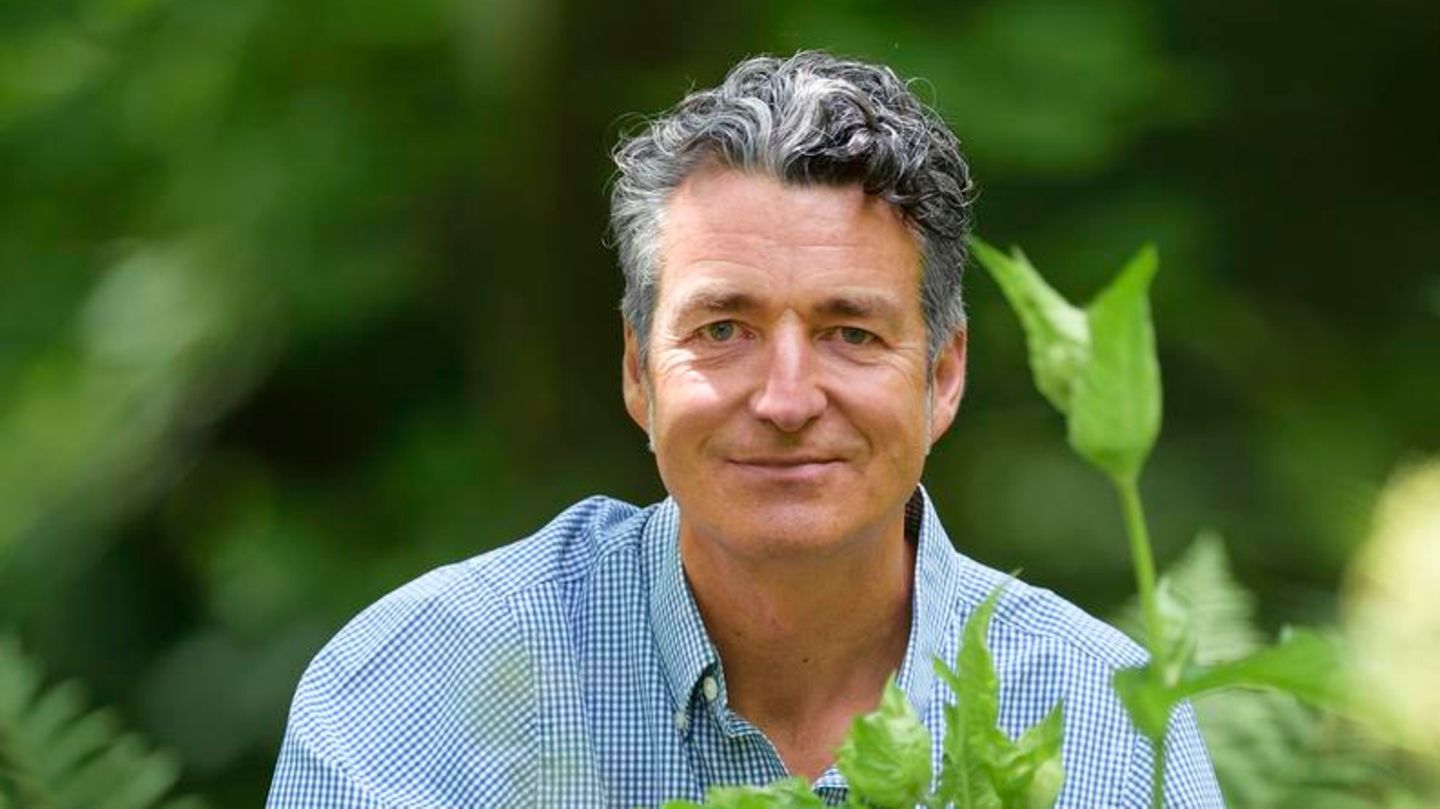 Dr. Markus Strauß