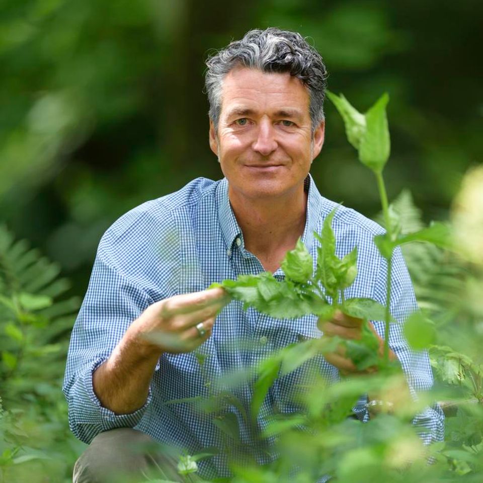 Dr. Markus Strauß