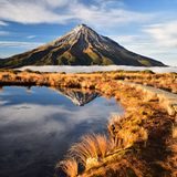 Blick auf den Mount Taranaki an einem sonnigen Tag in Neuseeland