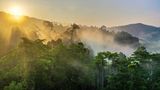 Wolkenverhangener Regenwald von Borneo