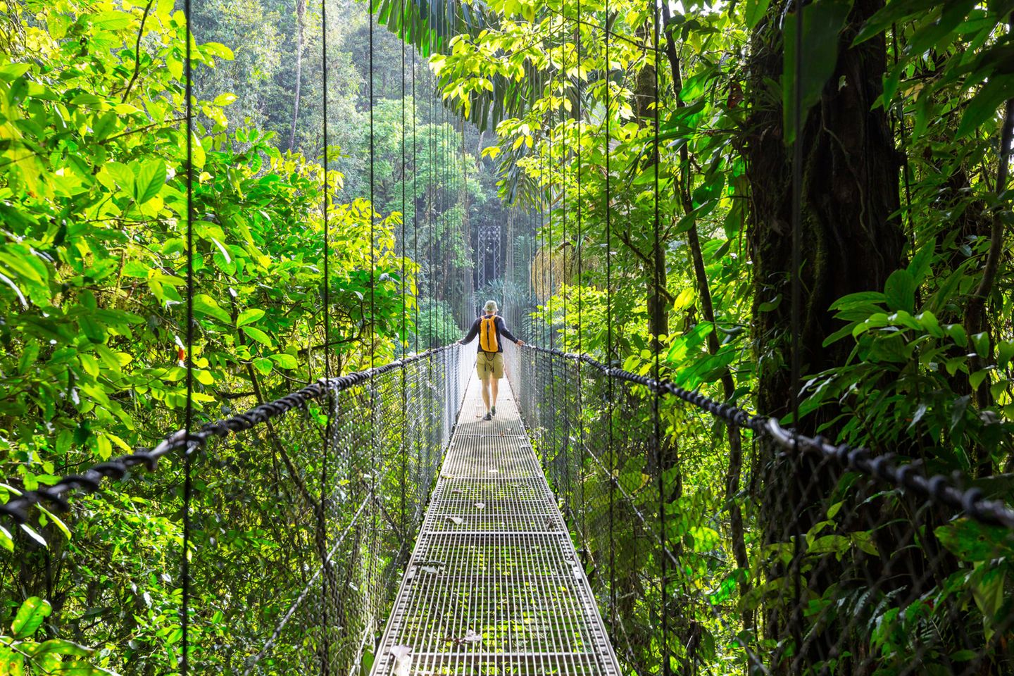 Frau schreitet über eine Hängebrücke im Urwald Costa Ricas