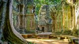 Ta Prohm Tempel im Morgenlicht. Teil des Angkor Wat Komplexes