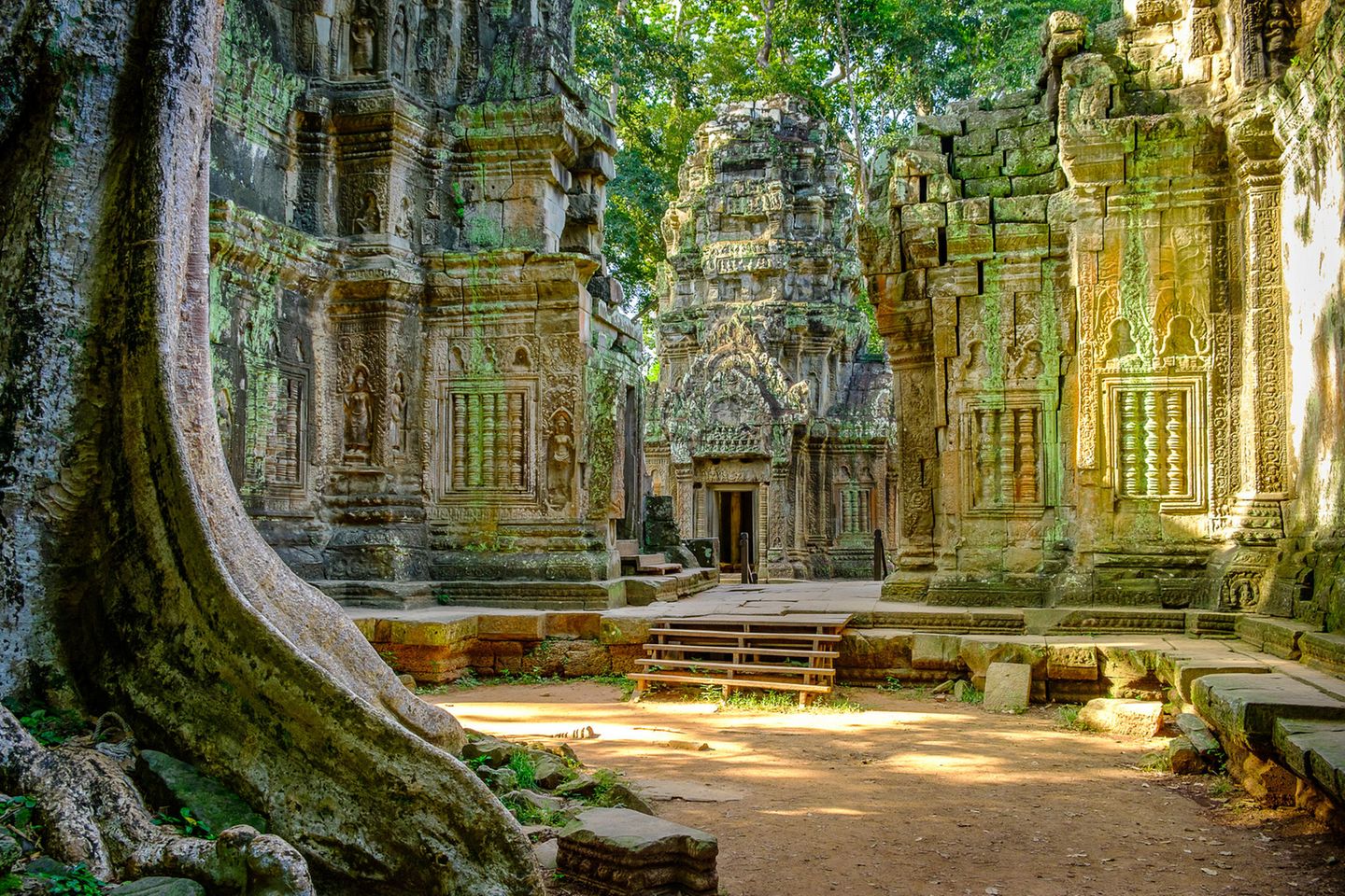 Ta Prohm Tempel im Morgenlicht. Teil des Angkor Wat Komplexes