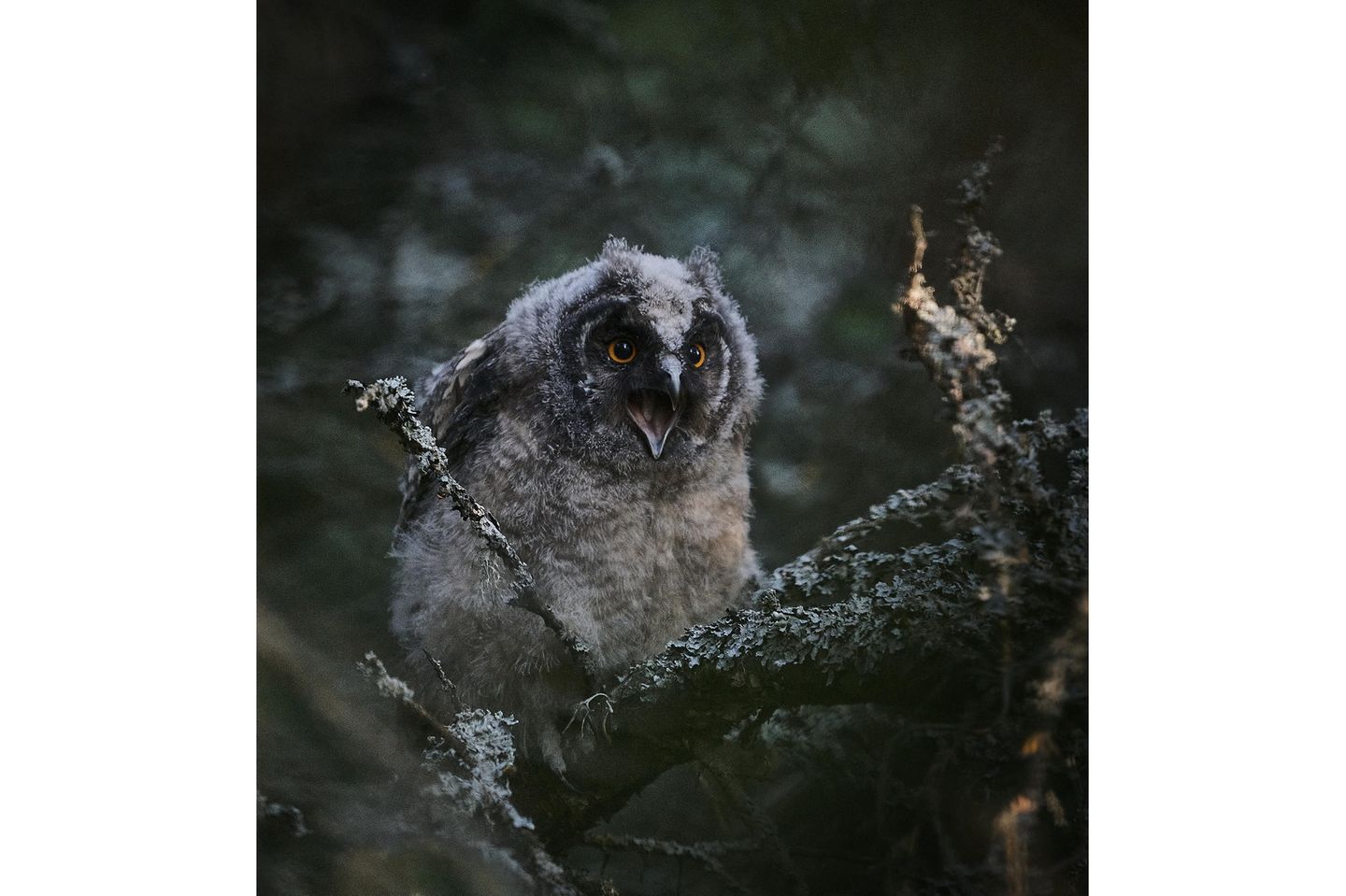 Hans Kristian Strand, Norway, Shortlist, Open, Landscape, 2021 Sony World Photography Awards