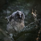 Hans Kristian Strand, Norway, Shortlist, Open, Landscape, 2021 Sony World Photography Awards