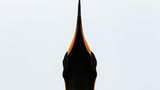 Koki Shinoda, Japan, Shortlist, Open, Natural World & Wildlife, 2021 Sony World Photography Awards