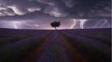 Juan López Ruiz, Spain, Category Winner, Open, Landscape, 2021 Sony World Photography Awards