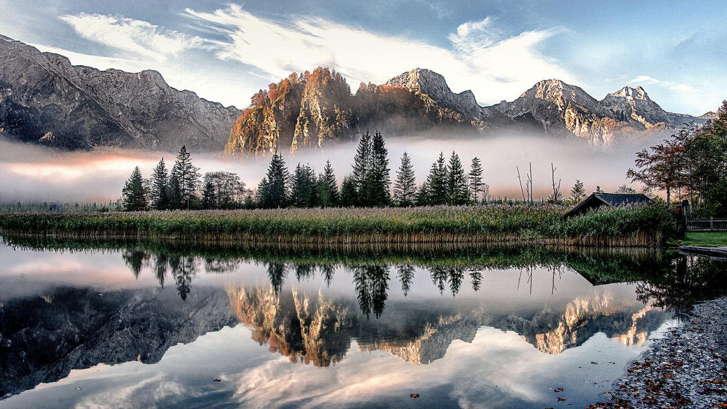 Almsee