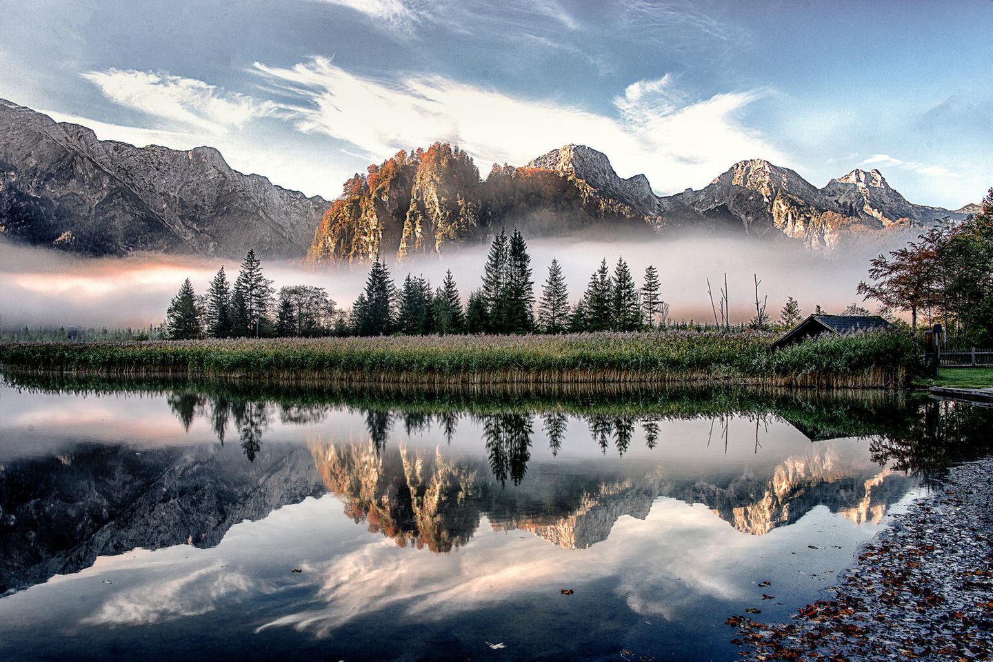 Almsee