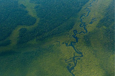 Luftblick auf den Wald im Amazonas nahe Sao Gabriel da Cachoeira
