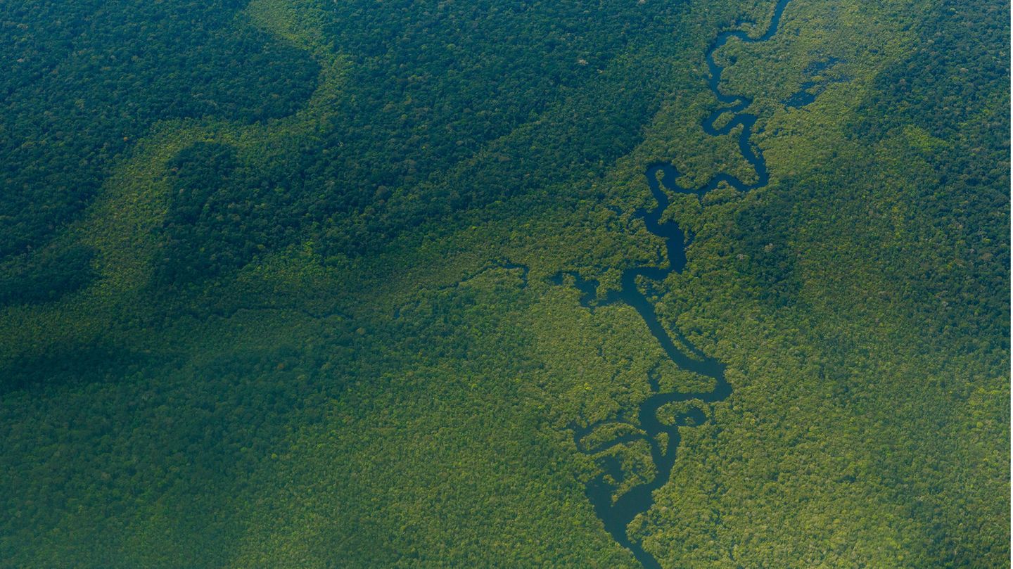 Luftblick auf den Wald im Amazonas nahe Sao Gabriel da Cachoeira