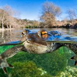 Mathieu Foulquie | cupoty.com