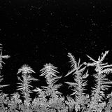 Edwin Giesbers| cupoty.com